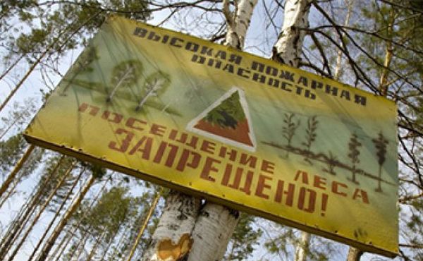 Введен запрет на посещение лесов Введен запрет на посещение лесов